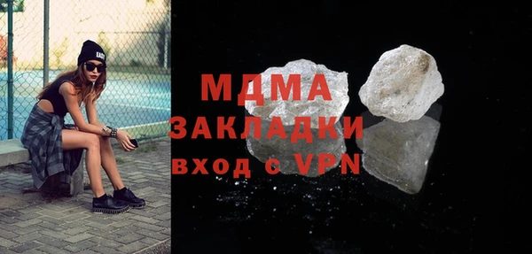 индика Алексин