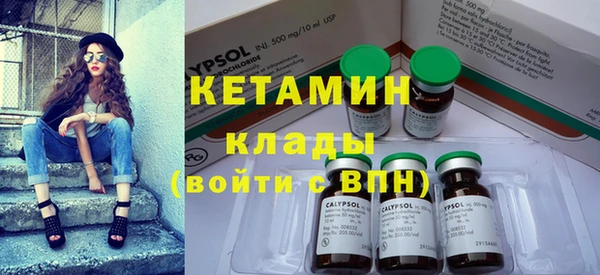 шишки Абинск