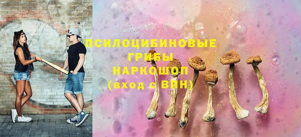 индика Алексин