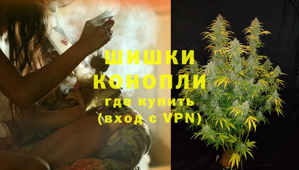 шишки Абинск