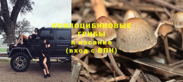 винт Алзамай