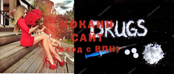 индика Алексин